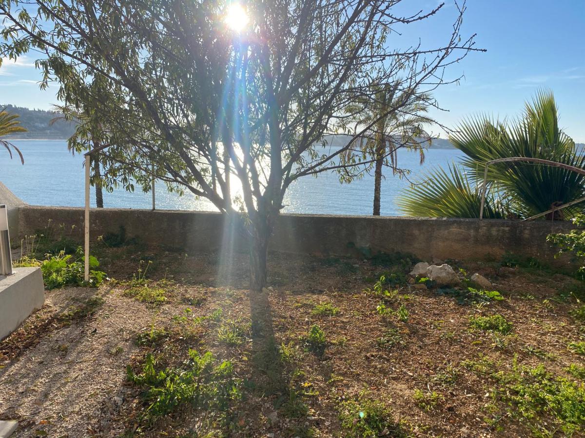 Splendide Studio Miramar Vue Mer Avec Terrasse Bandol Eksteriør bilde